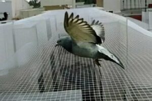 شركة تركيب طارد حمام بالرياض - دكتور كلين