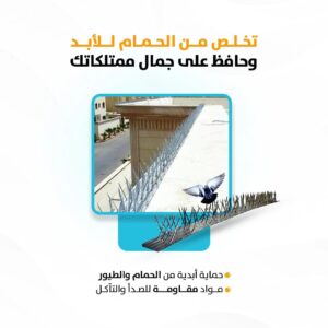 تركيب طارد حمام وطيور بالرياض