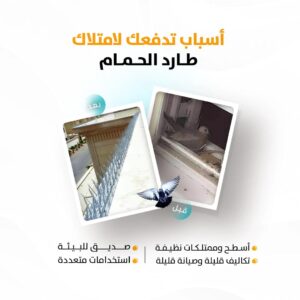 نصائح الوقاية من الطيور والحمام
