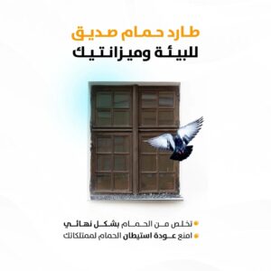 فني تركيب أشواك طارد حمام بالرياض